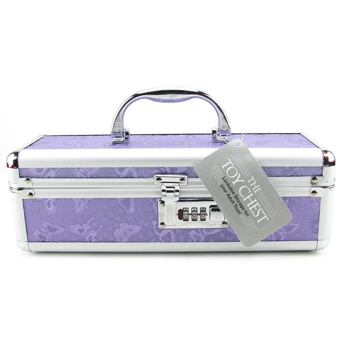 BMS Enterprises Vibrators Lockable Small Vibrator Case in Purple