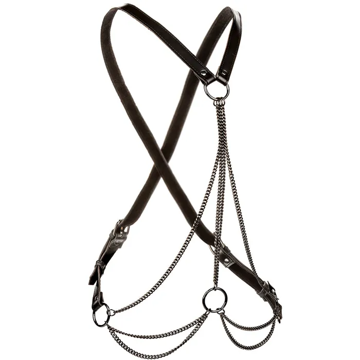 Euphoria Multi Chain Harness XL CalExotics Female Sex Toys