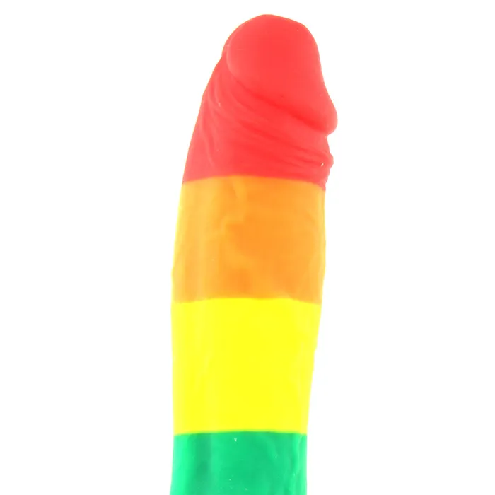 ns novelties Colours Pride Edition 6 Inch Silicone Dildo in Rainbow Dildos