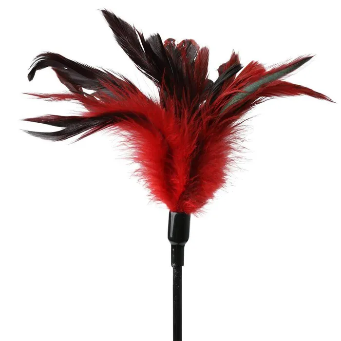 Sport Sheets Sex and Mischief Collection from Sportsheets Feather Slapper Spanker Male Sex Toys