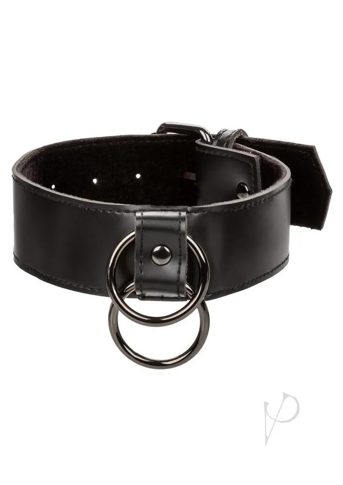 EUPHORIA Vibrators Euphoria Coll Collar Wchain Leash
