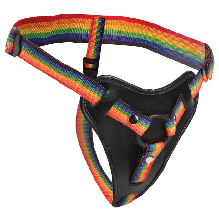 Female Sex Toys XR Brands Rainbow Strap On Harness With Silicone Orings