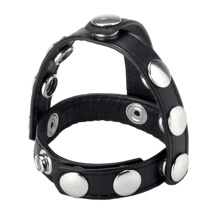 Female Sex Toys XR Brands Strict Leather Snapon Cock And Ball Harness