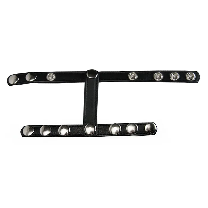 Female Sex Toys XR Brands Strict Leather Snapon Cock And Ball Harness