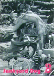 Hot Shots Penthouse Returns Series 2 Junkyard Dog subset 9 cards minor white spots on some cards Peter Comparettos Cards Vibrators