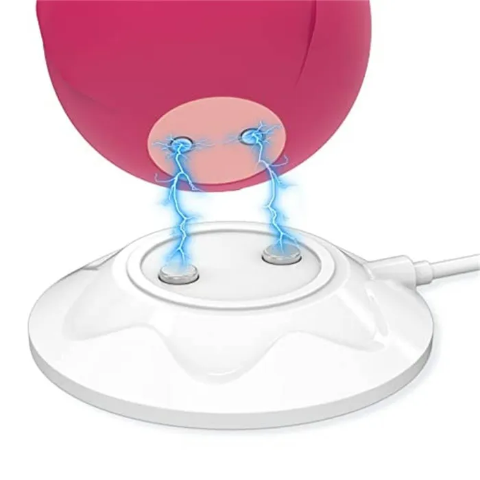 Adorime Vibrators Rose Toy Charger Adorime Universal Charging Cable Replacement
