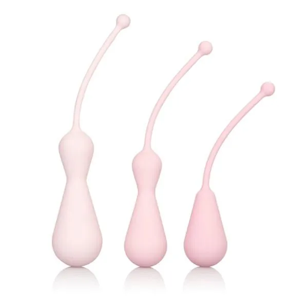 CALIFORNIA EXOTIC NOVELTIES Female Sex Toys Inspire Weighted Silicone Kegel Training Kit