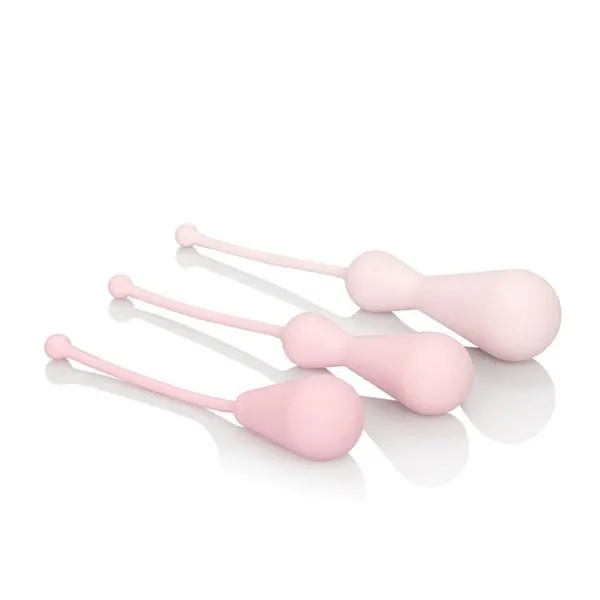 CALIFORNIA EXOTIC NOVELTIES Female Sex Toys Inspire Weighted Silicone Kegel Training Kit