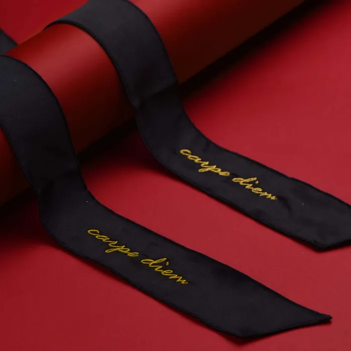 Carpe Diem Premium Silk Bondage Set UPKO Couples