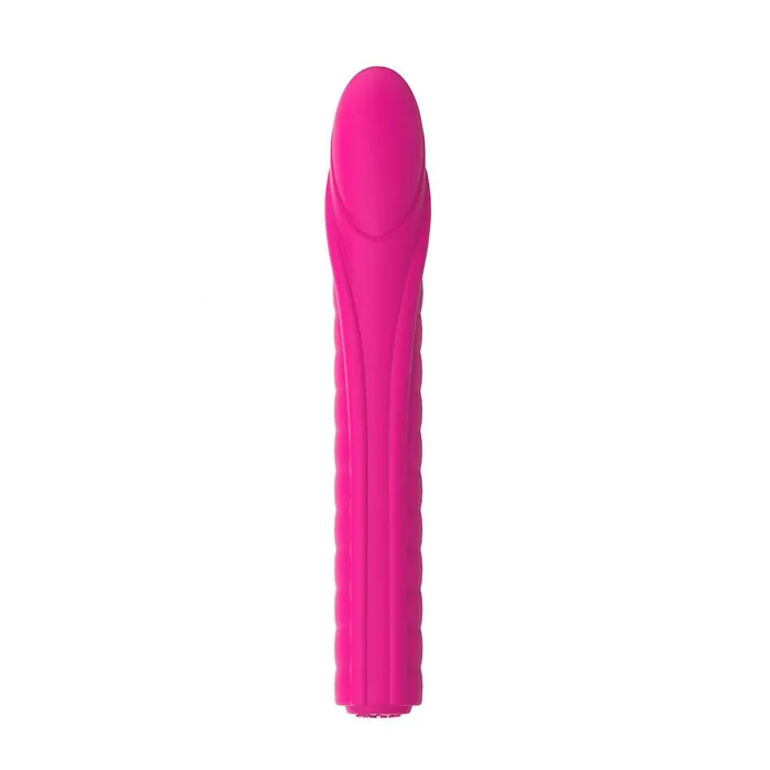 Nalone Dixie 2 Bullet Vibrator Nalone Female Sex Toys