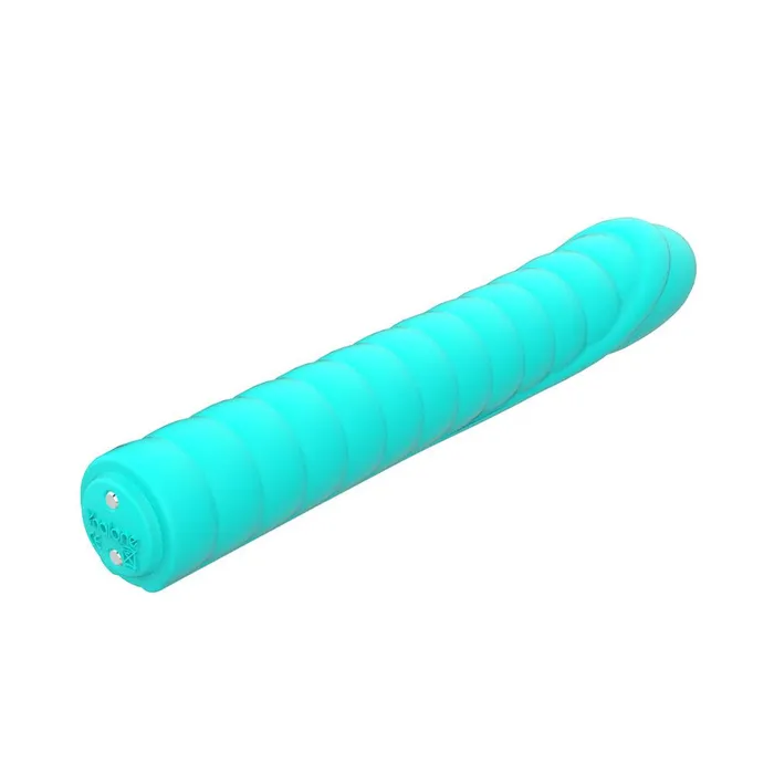 Nalone Dixie 2 Bullet Vibrator Nalone Female Sex Toys