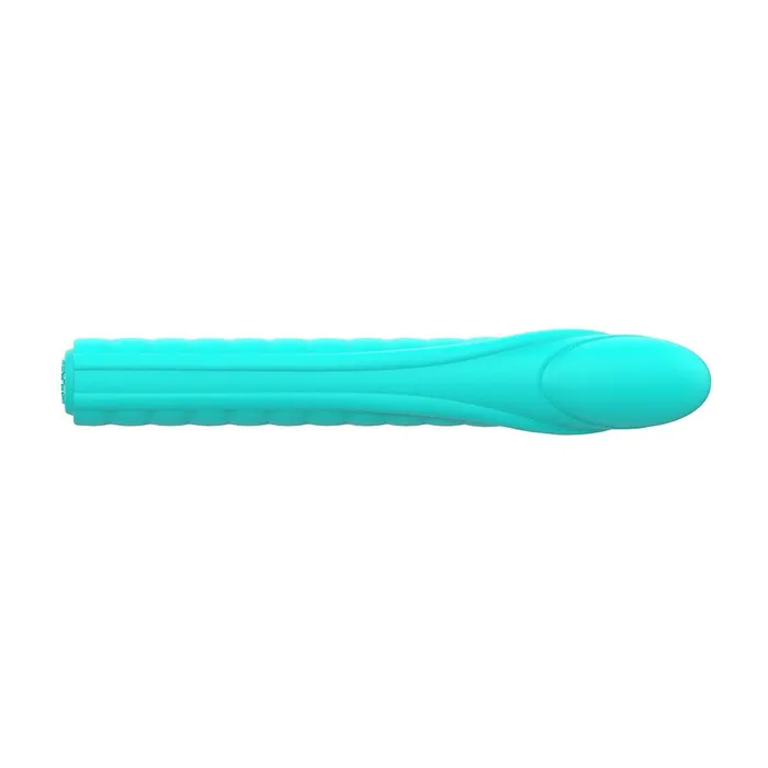 Nalone Dixie 2 Bullet Vibrator Nalone Female Sex Toys