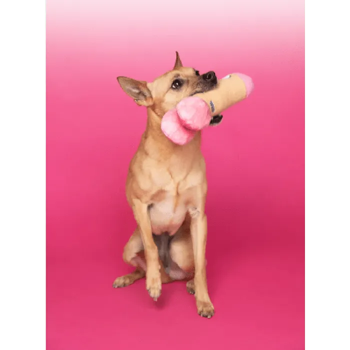 Peter Woofington Plush Squeaky Dog Toy C1R Channel 1 Releasing Vibrators