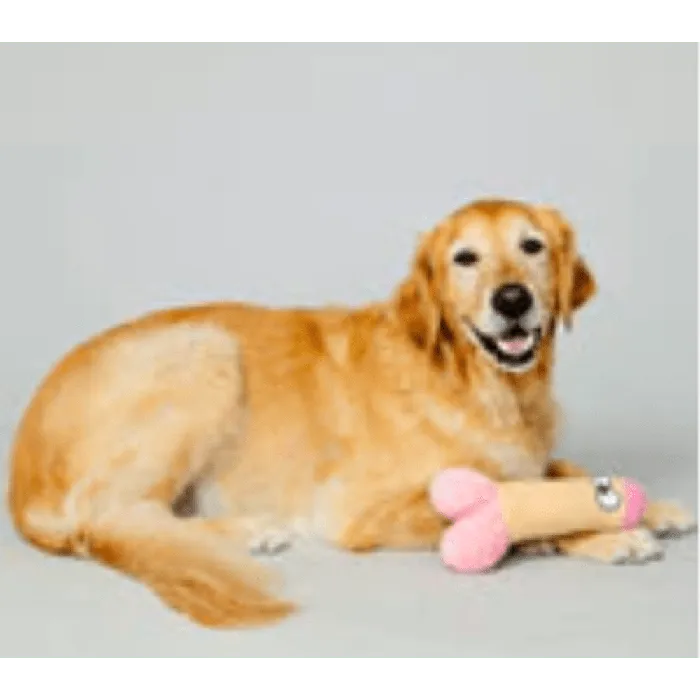 Peter Woofington Plush Squeaky Dog Toy C1R Channel 1 Releasing Vibrators